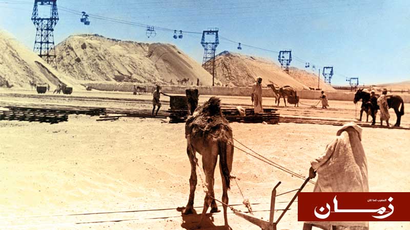 عمال ينقلون الفوسفاط على الجمال والبغال في منجم اليوسفية.
